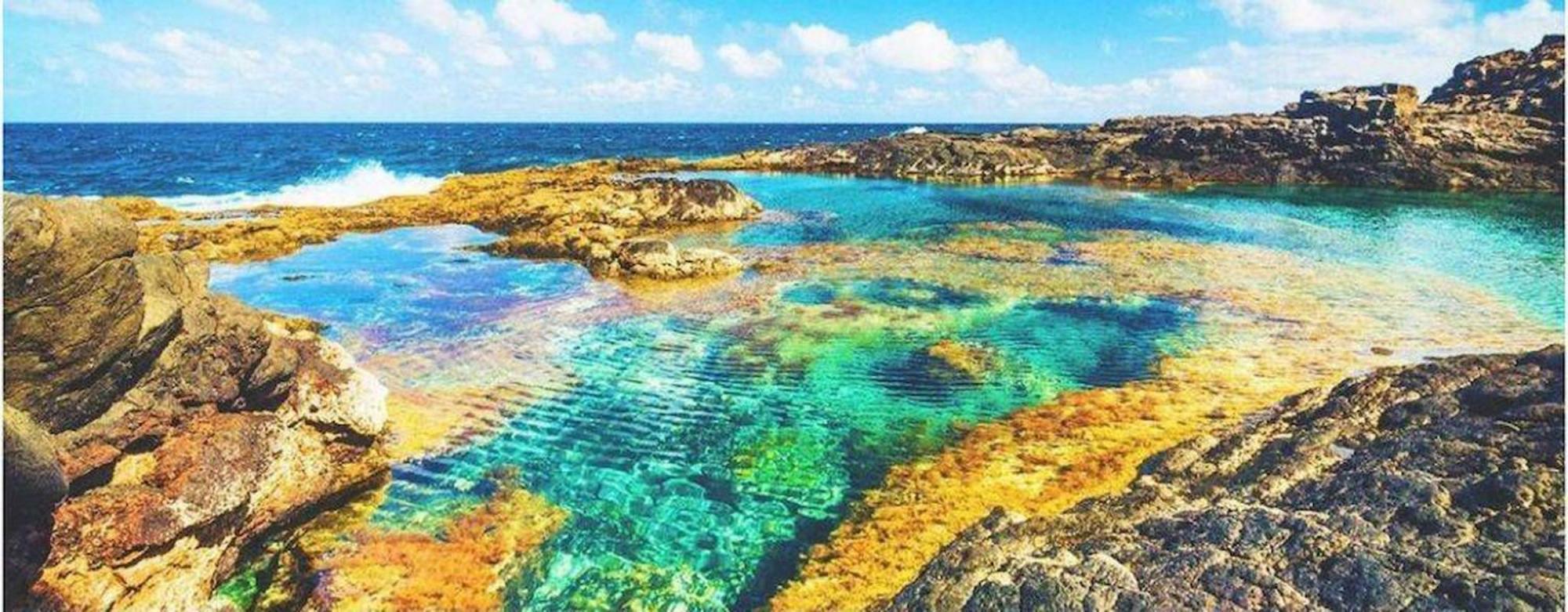 شقة Playa Marisma La Penita بويرتو ذيل كارمين المظهر الخارجي الصورة